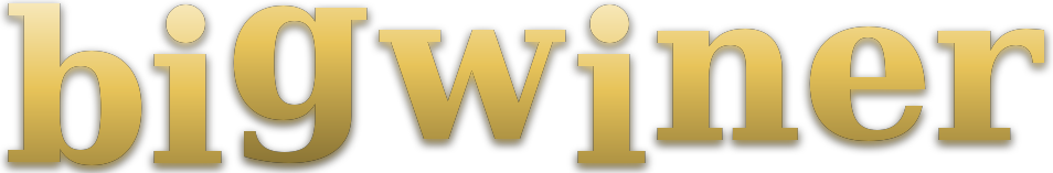 bigwiner logo
